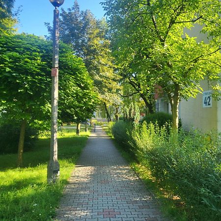 Appartement Przytulne Mieszkanie Wola Duchacka à Cracovie Extérieur photo